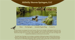 Desktop Screenshot of hillbillyheavenspringers.com
